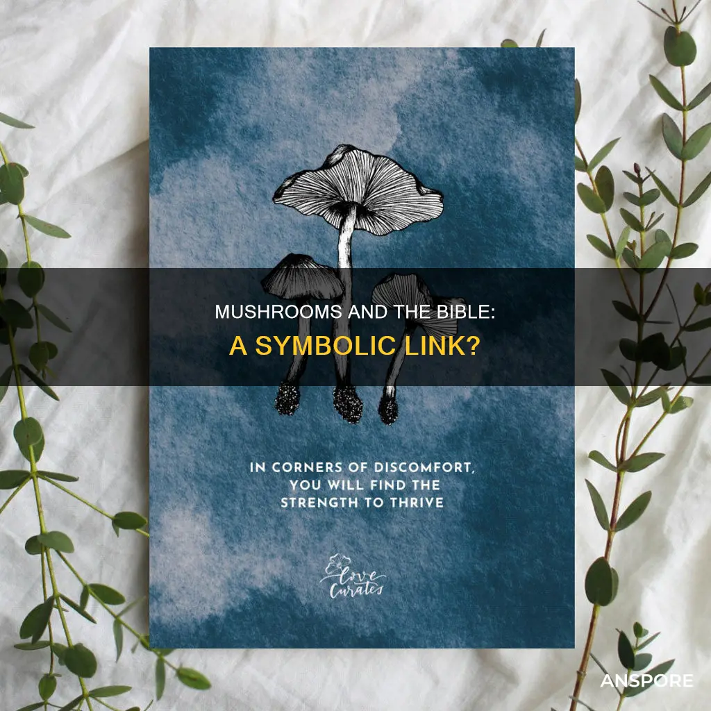 is the bible about mushrooms