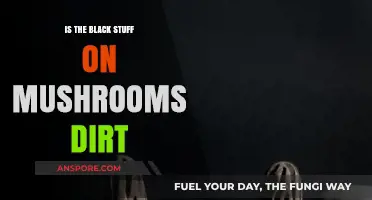 Is the Black Stuff on Mushrooms Dirt or Something Else?