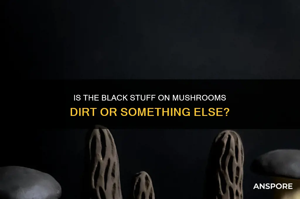 is the black stuff on mushrooms dirt
