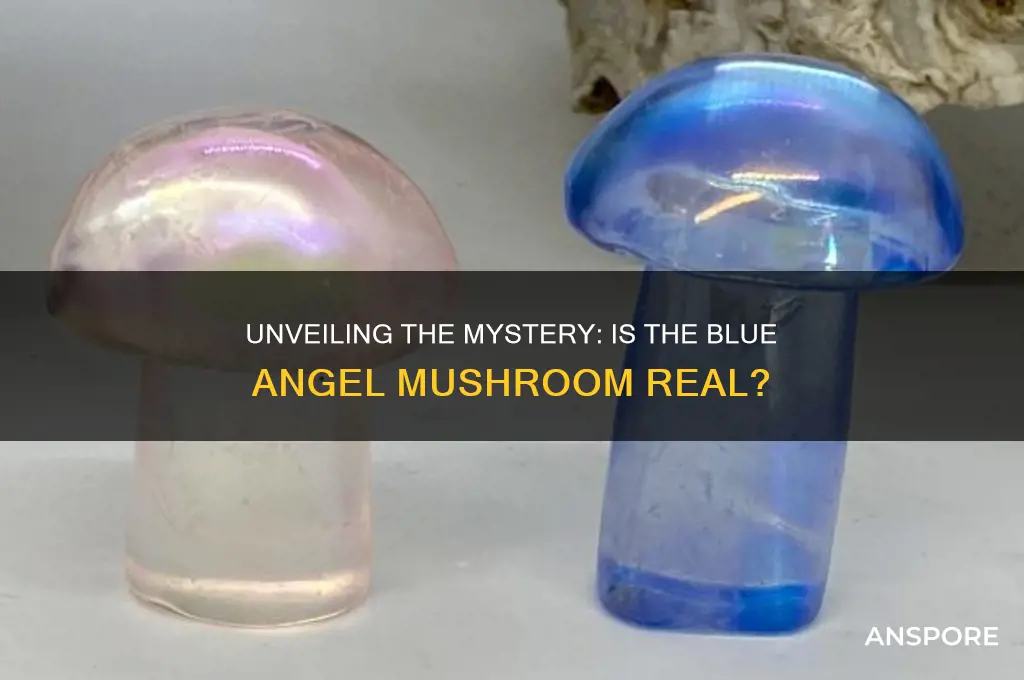 is the blue angel mushroom real