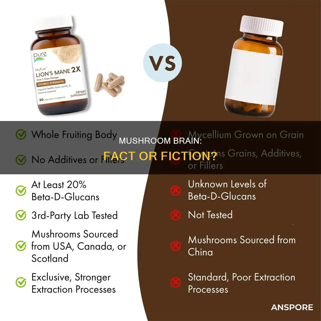 is the brain a mushroom