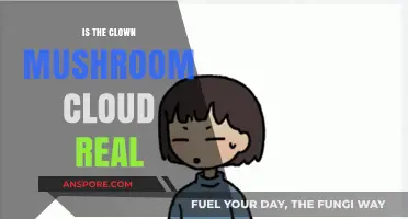 Is the Clown Mushroom Cloud Real? Unveiling the Truth Behind the Phenomenon