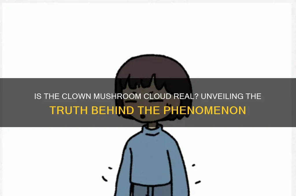 is the clown mushroom cloud real