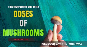 Higher Mushroom Doses: Does the Come-Up Time Shorten?