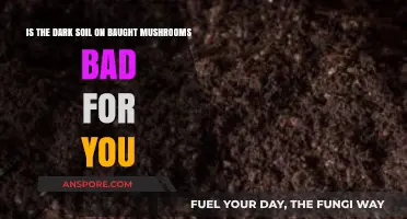 Is Dark Soil on Bought Mushrooms Harmful? What You Need to Know