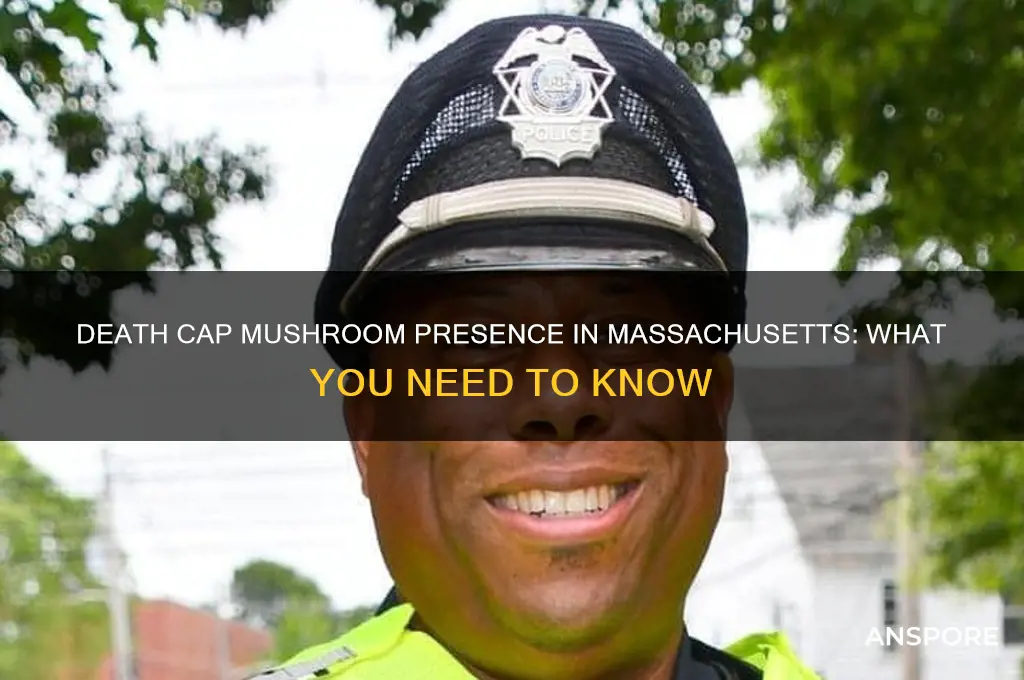 is the death cap mushroom found in massachusetts