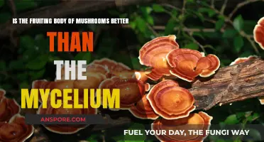 Fruiting Body vs. Mycelium: Which Mushroom Part is Superior?