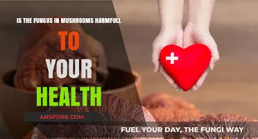 Mushroom Fungus: Uncovering Health Risks and Benefits for Consumers