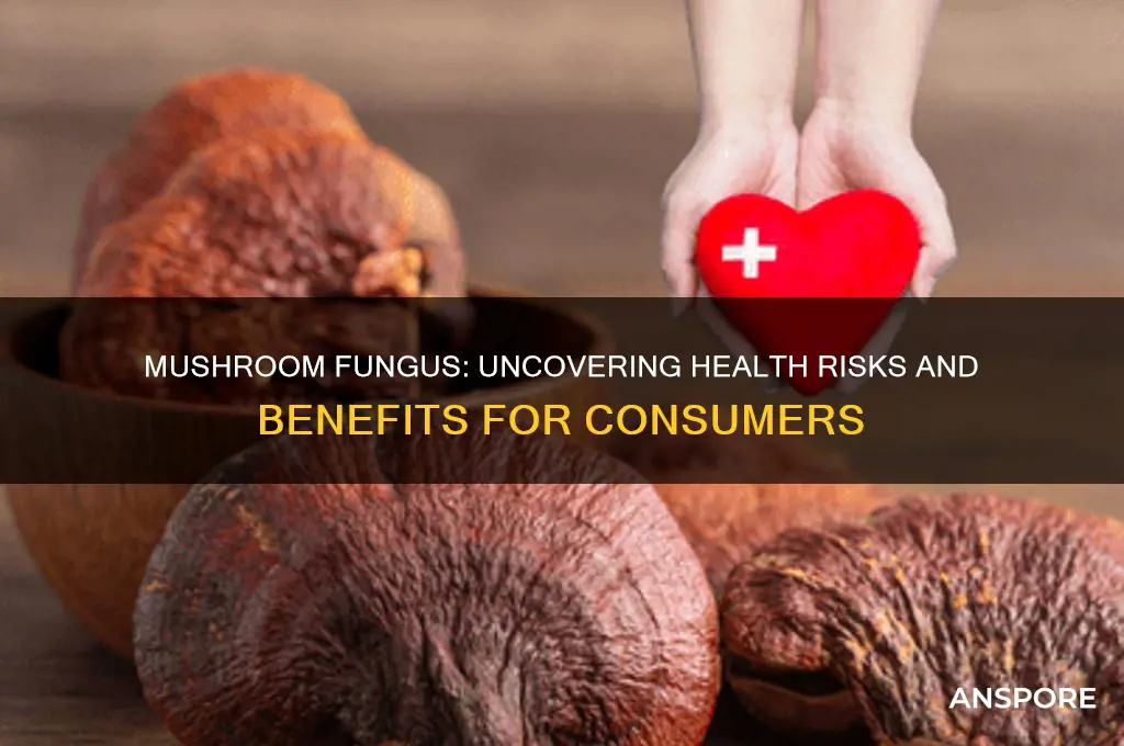 is the fungus in mushrooms harmfull to your health
