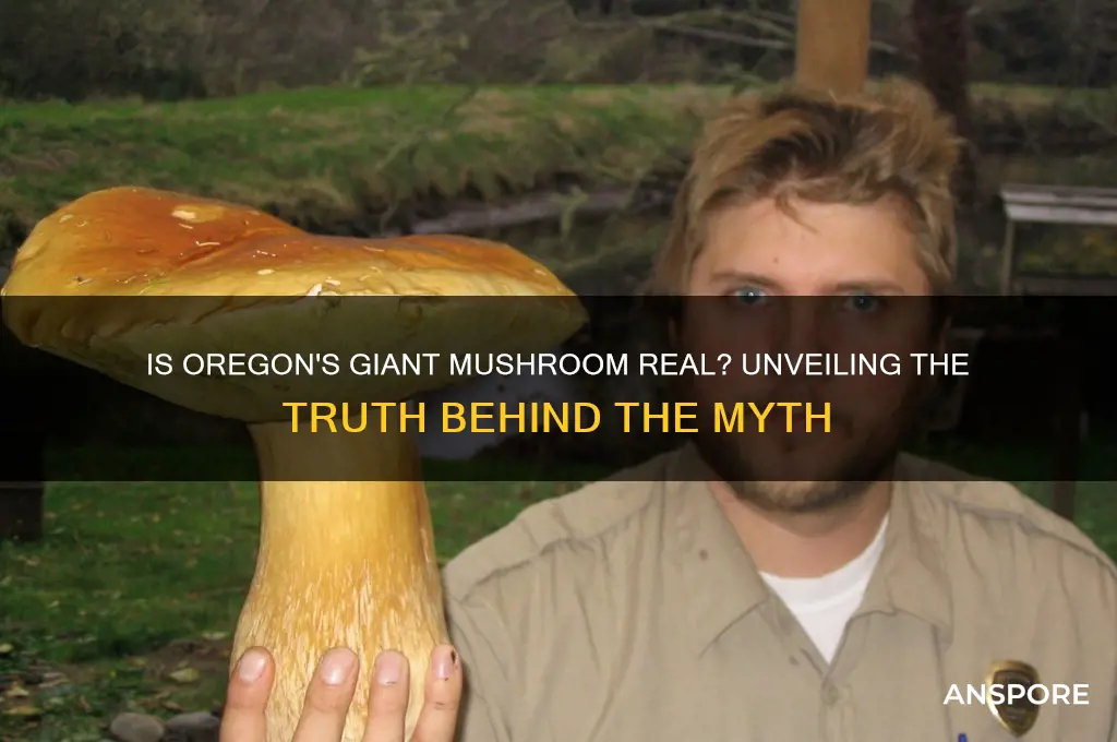 is the giant mushroom in oregon real
