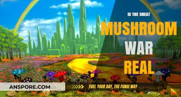 Unveiling the Truth: Was the Great Mushroom War Real or Fiction?