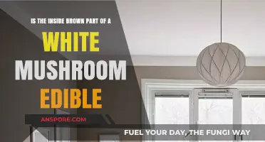 Can You Eat the Brown Interior of White Mushrooms? Facts Revealed