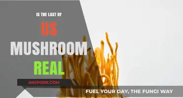 The Last of Us: Unraveling the Truth About the Cordyceps Fungus