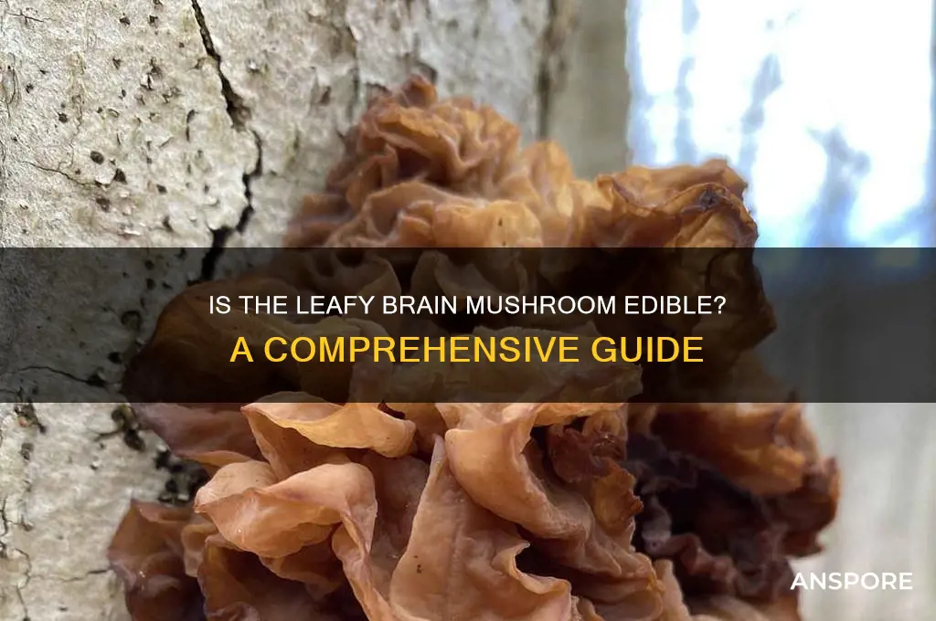 is the leafy brain mushroom edible