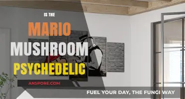 Psychedelic Mario Mushrooms: Fact or Fiction?