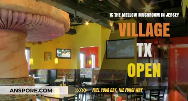 Is Mellow Mushroom Jersey Village TX Open? Find Out Now
