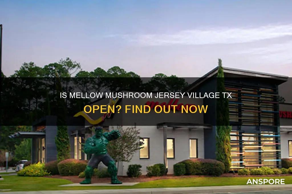 is the mellow mushroom in jersey village tx open
