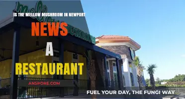 Is Mellow Mushroom Newport News a Restaurant? Let's Find Out