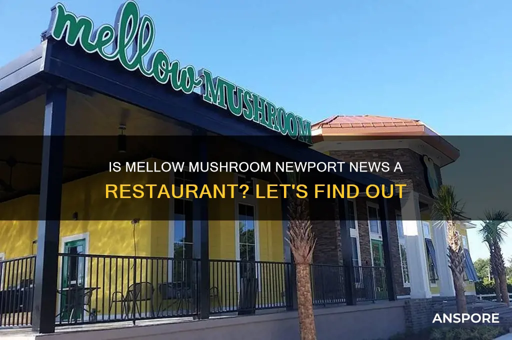 is the mellow mushroom in newport news a restaurant