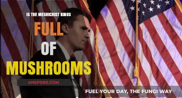 Meshichist Kinus: Unveiling the Mushroom Myth and Reality