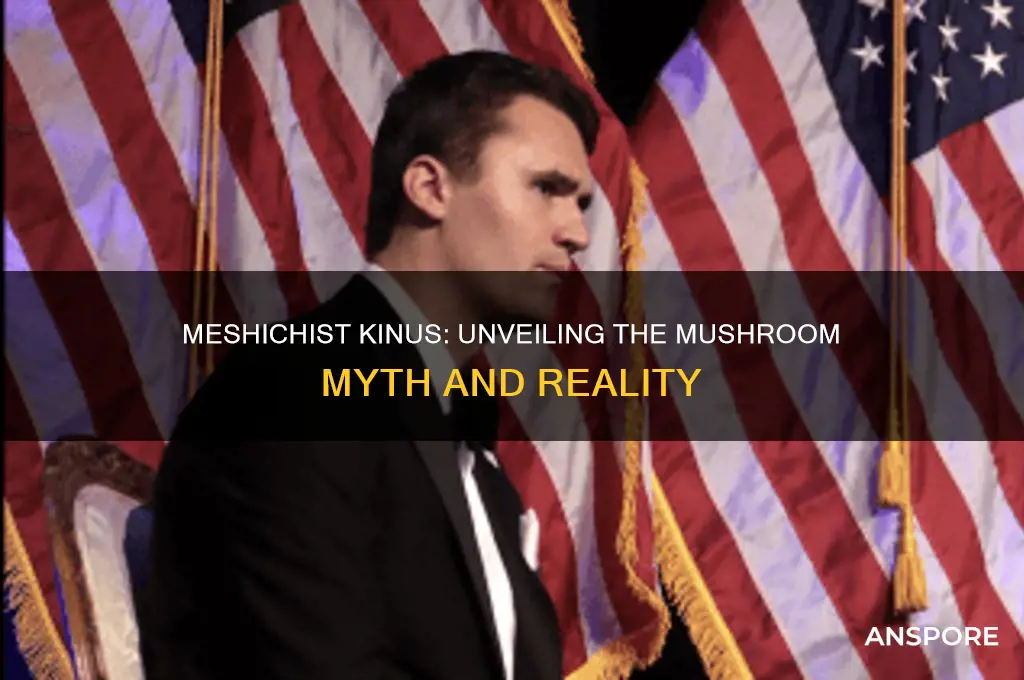is the meshichist kinus full of mushrooms