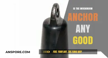 Is the Mushroom Anchor Reliable? A Comprehensive Review and Analysis