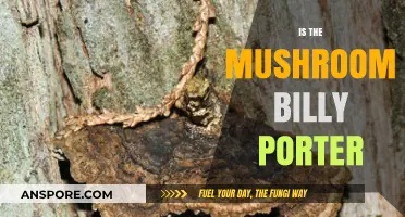 The Mushroom-Inspired Style of Billy Porter