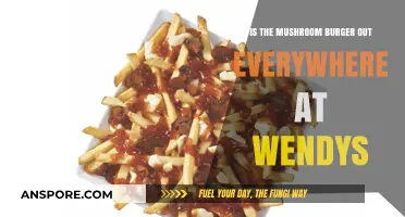 Mushroom Burger Availability: Is Wendy's Nationwide Rollout Complete?
