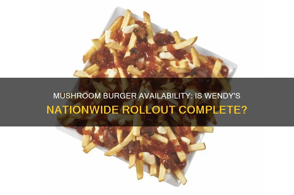 is the mushroom burger out everywhere at wendys
