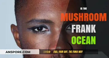 Frank Ocean's Mushroom-Inspired Creative Journey