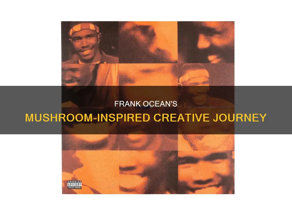 is the mushroom frank ocean