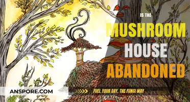 The Mystery of the Abandoned Mushroom House