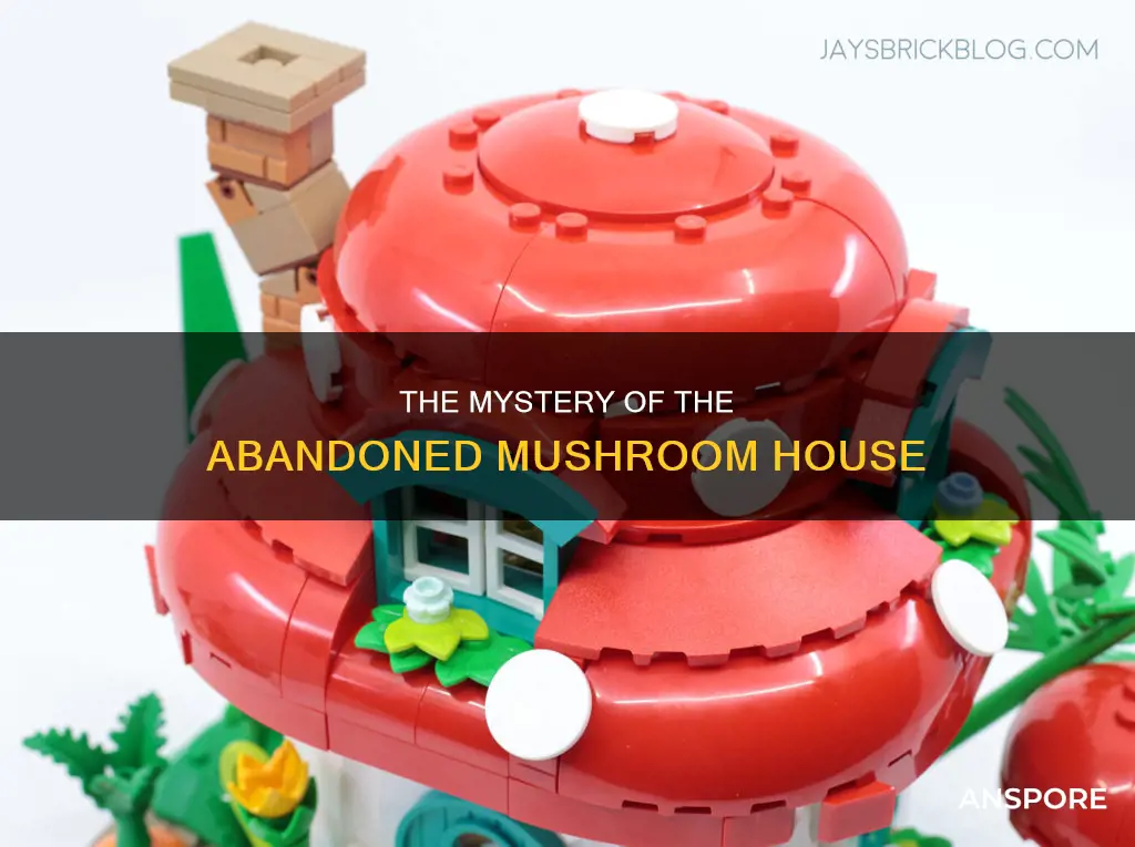 is the mushroom house abandoned