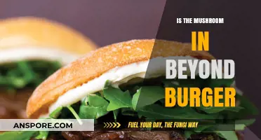 Beyond Burger's Mushroom Mystery: Unveiling the Plant-Based Patty's Ingredients