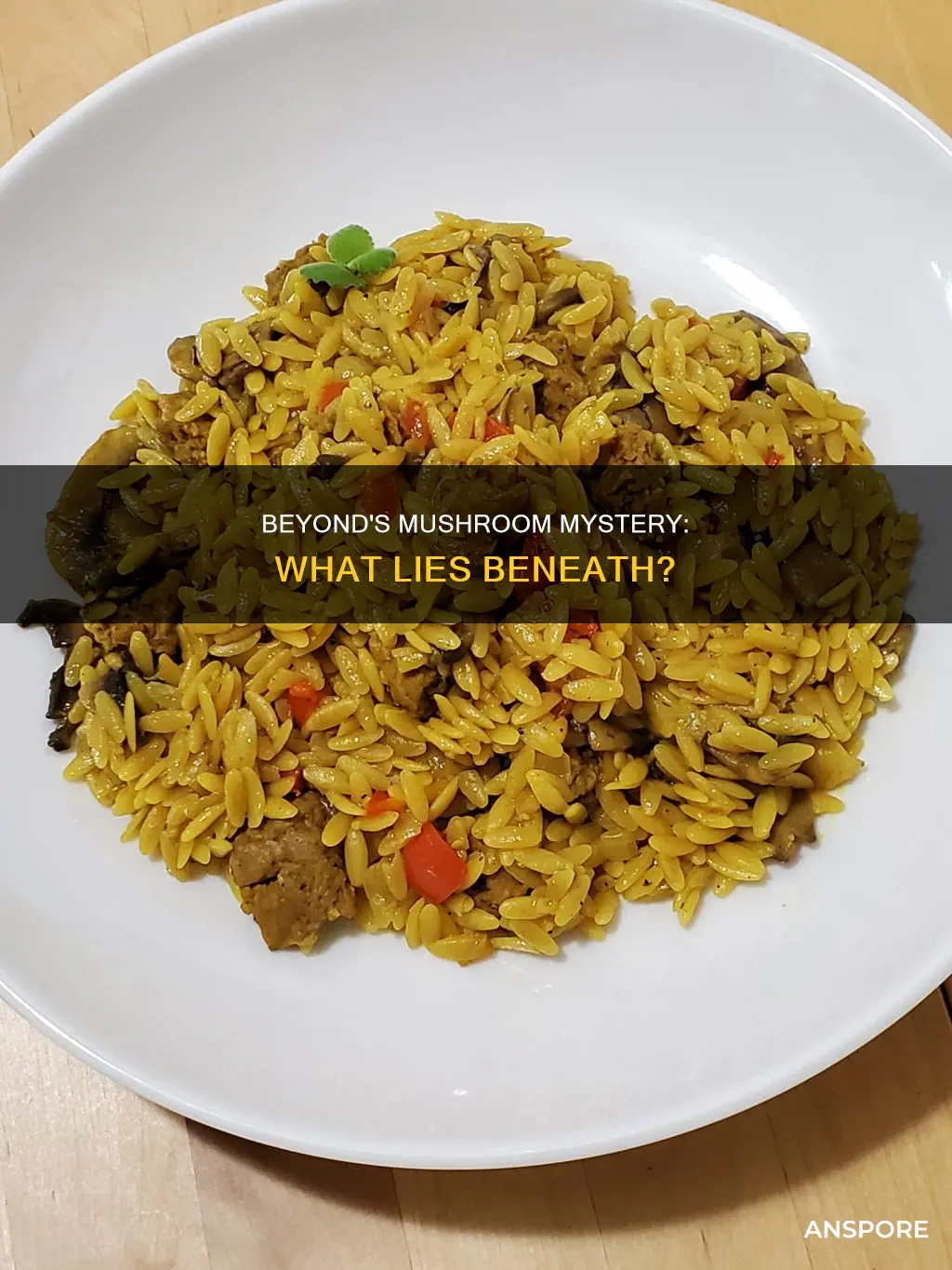 is the mushroom in beyond