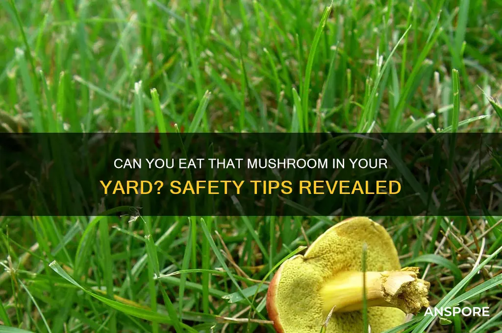 is the mushroom in my yard edible