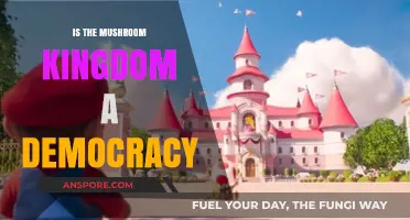 Is the Mushroom Kingdom a Democracy? Exploring Mario's Political Realm