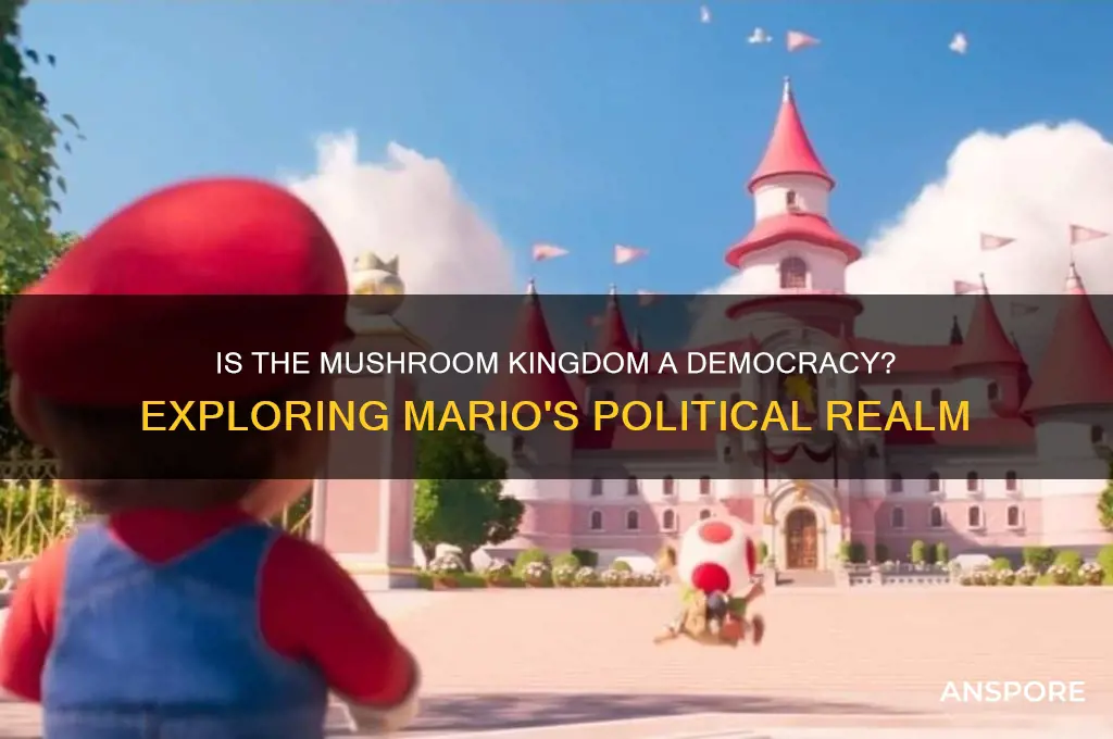 is the mushroom kingdom a democracy