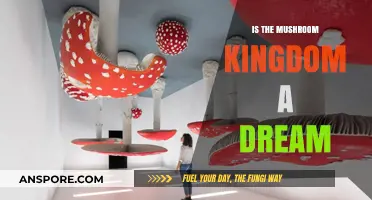 Is the Mushroom Kingdom a Dream? Exploring Mario's Surreal World