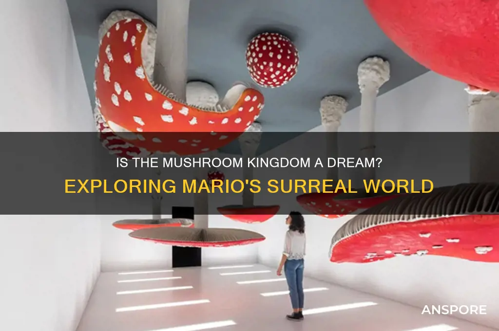 is the mushroom kingdom a dream