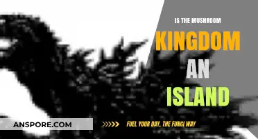 Is the Mushroom Kingdom an Island? Exploring Mario's Geography