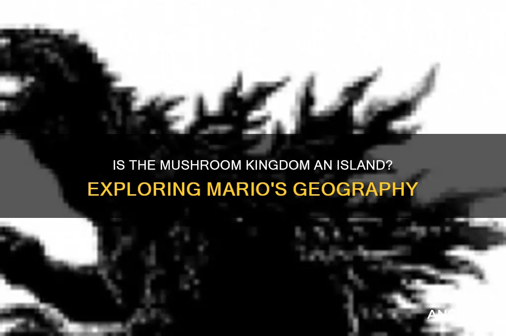 is the mushroom kingdom an island