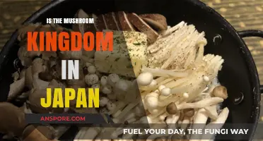 Exploring the Japanese Origins of the Mushroom Kingdom