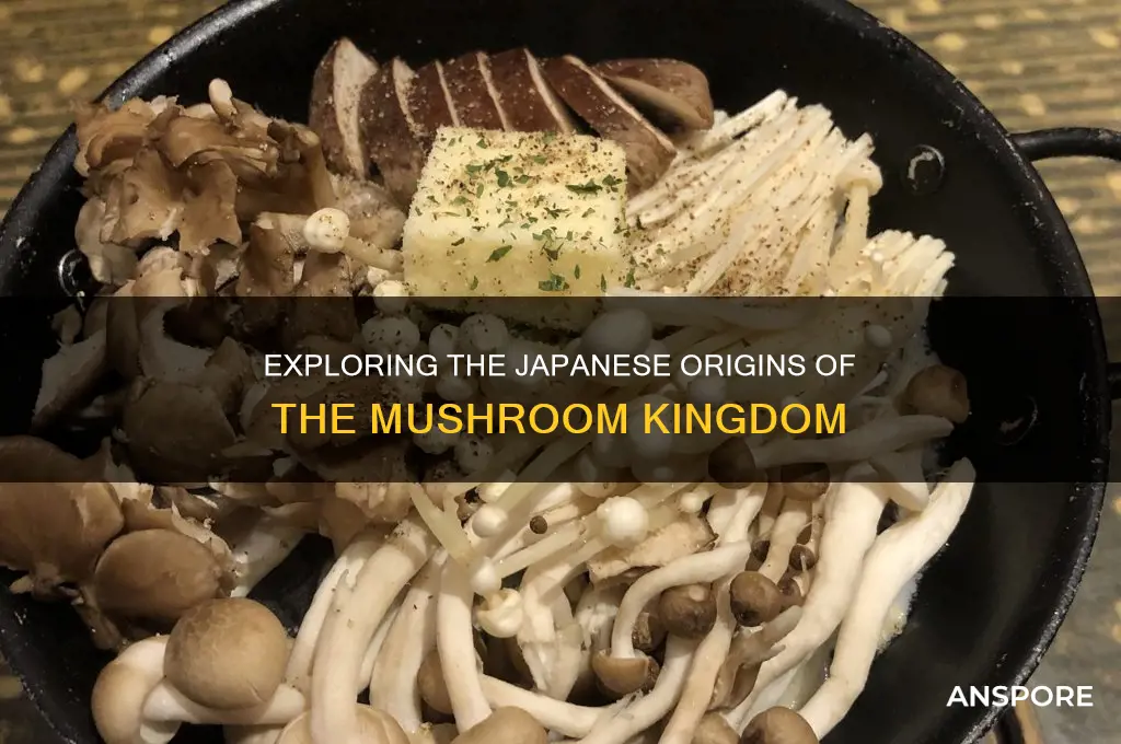 is the mushroom kingdom in japan