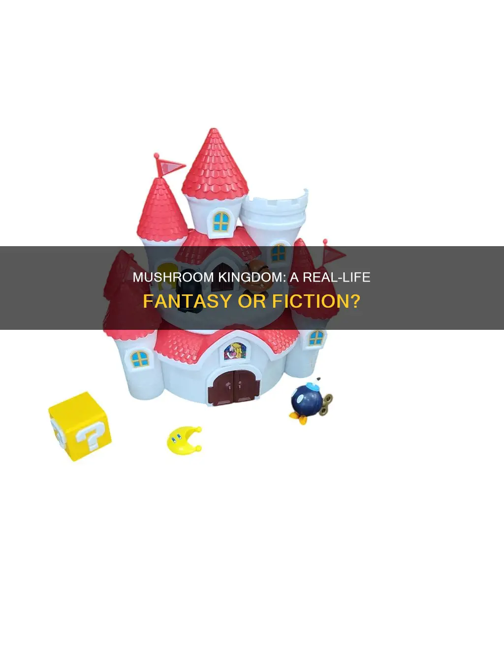 is the mushroom kingdom real