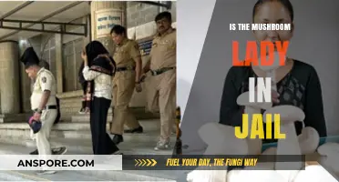 Is the Mushroom Lady in Jail? Unraveling the Truth Behind Her Case