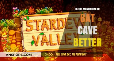 Mushroom vs. Bat Cave: Which Underground Wonder Reigns Supreme?