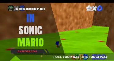 Exploring the Mushroom Planet: Sonic vs. Mario's Iconic Worlds