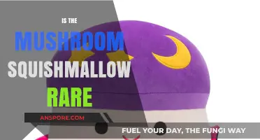 Mushroom Squishmallow: Is It a Rare Find?