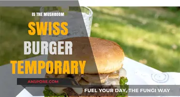 Is the Mushroom Swiss Burger Temporary? Exploring Its Menu Status